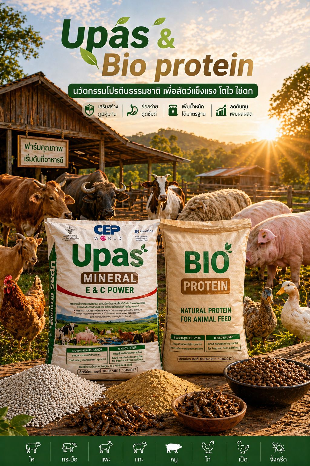 นวัตกรรมโปรตีนธรรมชาติ Upas & Bio Protein