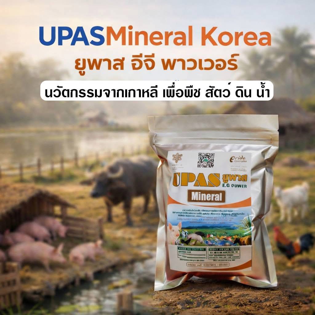 UPAS ยูพาส อีจี พาวเวอร์