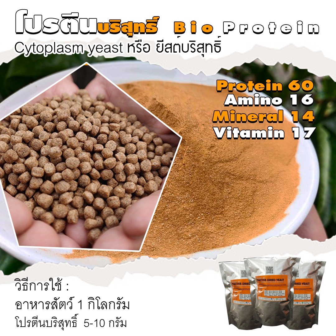 โปรตีนบริสุทธิ์ Bio Protein