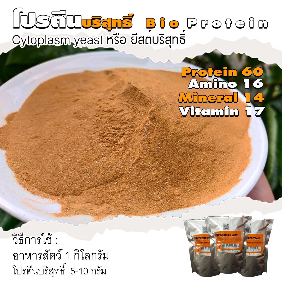 โปรตีนบริสุทธิ์ Bio Protein
