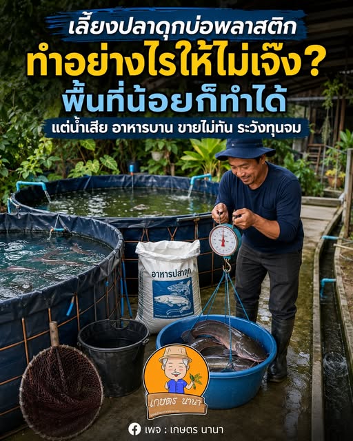  เลี้ยงปลาดุกในบ่อพลาสติก 