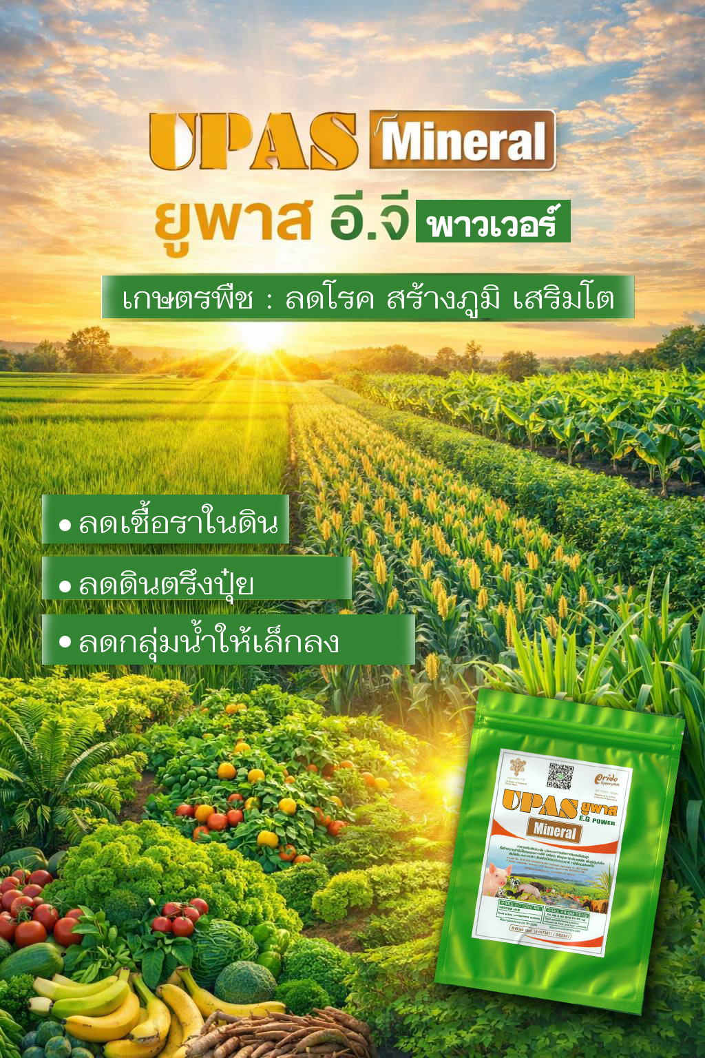 ยูพาส อีจี Upas mineral eg power macsumsuk Korea 