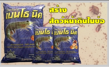 เบนโธ นิค สร้างอาหารสดใต้น้ำ ให้สัตว์วัยอ่อน