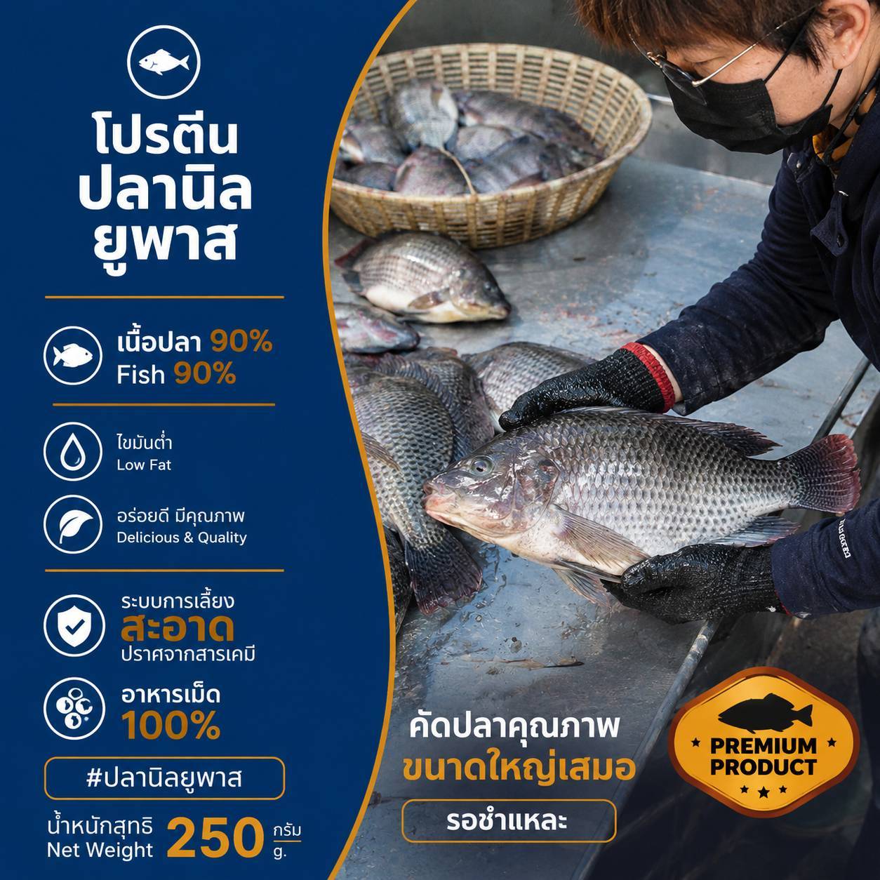 โปรตีน ปลานิล ยูพาส