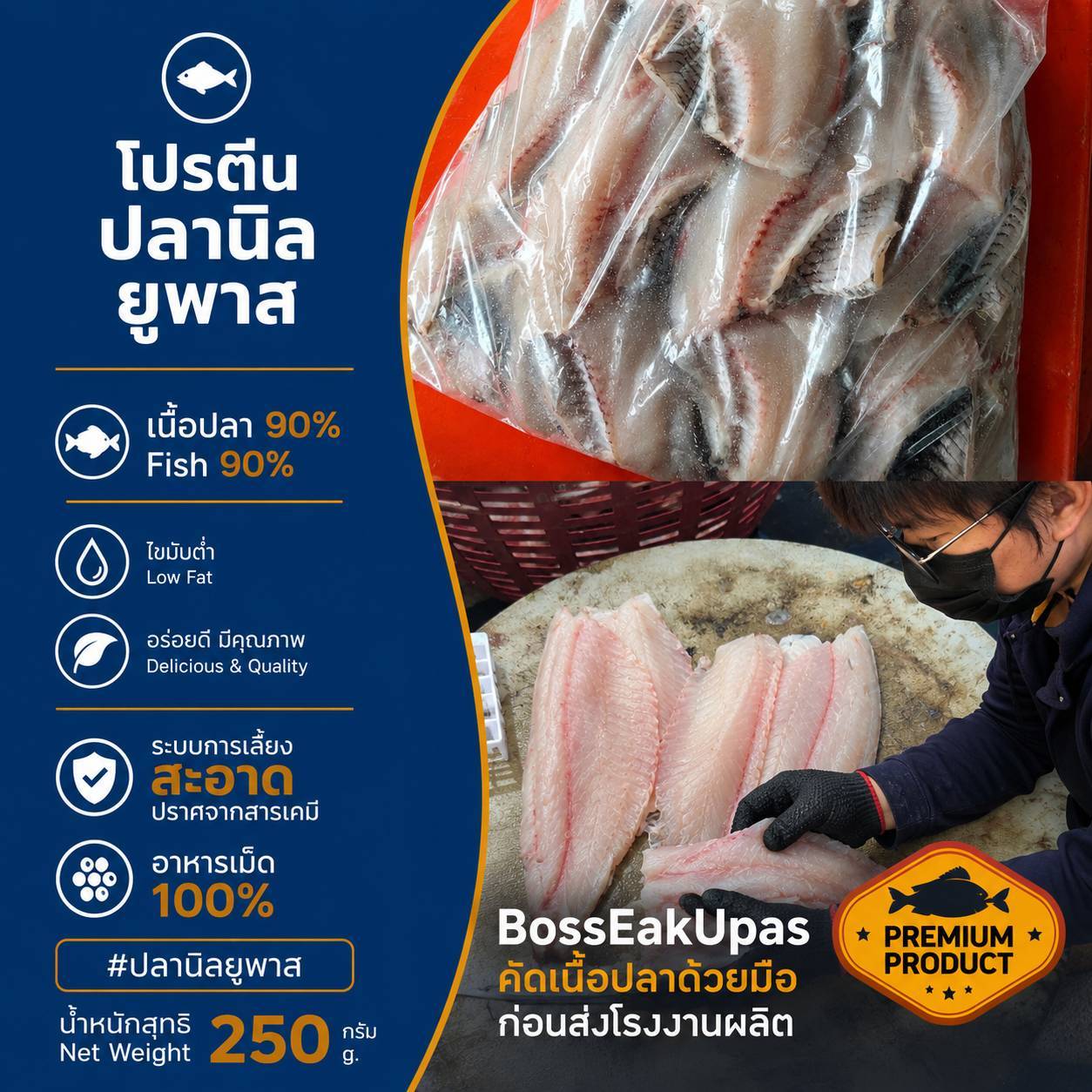 โปรตีน ปลานิล ยูพาส