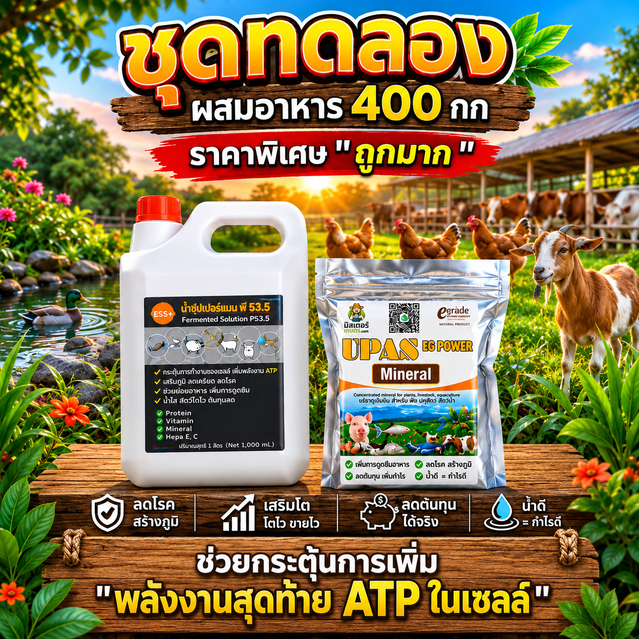 ชุดคู่หูคู่ฟาร์ม กระตุ้นสร้าง ATP ในเซลล์