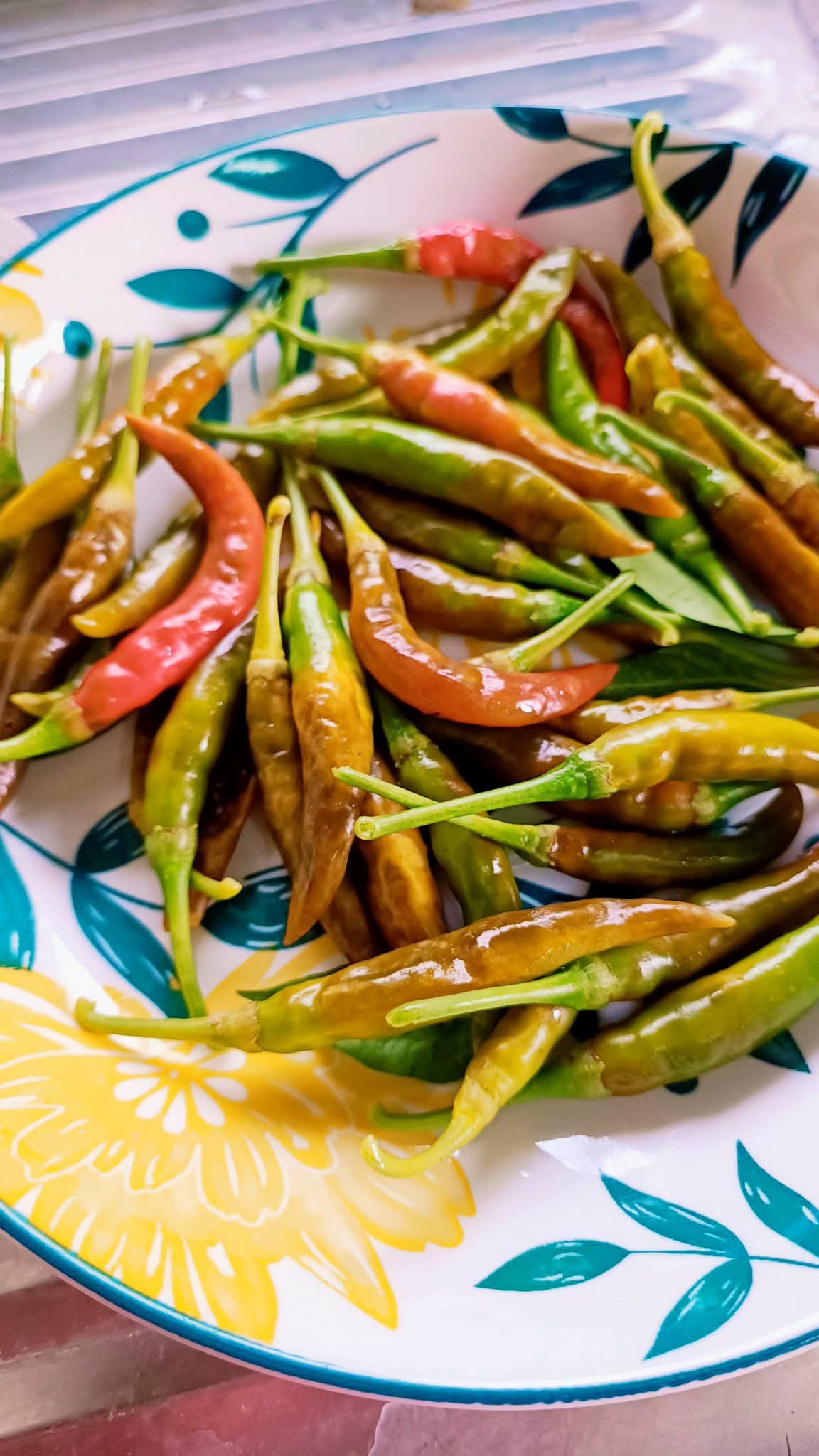 พริก ผิวผลเป็นสีน้ำตาล–ทอง ผิวด้าน/เป็นรอยคล้ายสนิมและมีแผลสาก บริเวณผิวผล